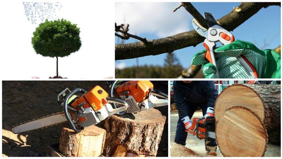 Greg's Tree Service - tree service in New Berlin, WI