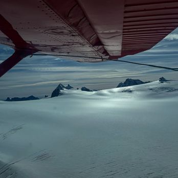 Steller Air Service - Glacier - Tours Near Me - Homer, Alaska Steller Air Service - Glacier - Tours Near Me - Homer, Alaska