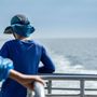 Photo of Island Packer Cruises