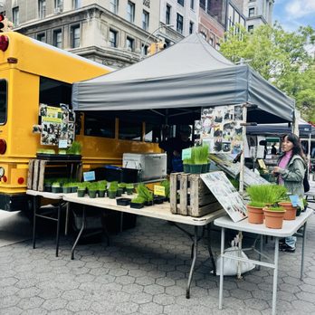 Union Square Grassman - Sprouts stand - Farmers Market Near Me - New York, New York Union Square Grassman - Sprouts stand - Farmers Market Near Me - New York, New York