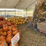Photo of Hogan Farms Pumpkin Patch & Corn Maze