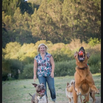 Sharon Cambra Photography - Trina at the Ranch aka Paws Dog Camp - Event Photography Near Me Sharon Cambra Photography - Trina at the Ranch aka Paws Dog Camp - Event Photography Near Me