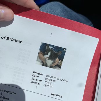 Caring Hands Animal Hospital - Bristow - They take photos of our pets for the visit recap! - Veterinarians Near Me - Bristow, Virginia Caring Hands Animal Hospital - Bristow - They take photos of our pets for the visit recap! - Veterinarians Near Me - Bristow, Virginia