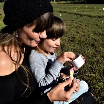 Cranberry Museum & Gift Shop - Museums Near Me - Long Beach, Washington