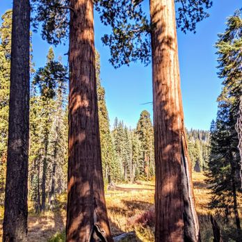 Crescent Meadow and Tharp's Log - The meadow with sequoias - Hiking Near Me - Sequoia National Park, California Crescent Meadow and Tharp's Log - The meadow with sequoias - Hiking Near Me - Sequoia National Park, California