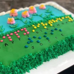 Ladybug Cafe & Cakery - Braille birthday cake