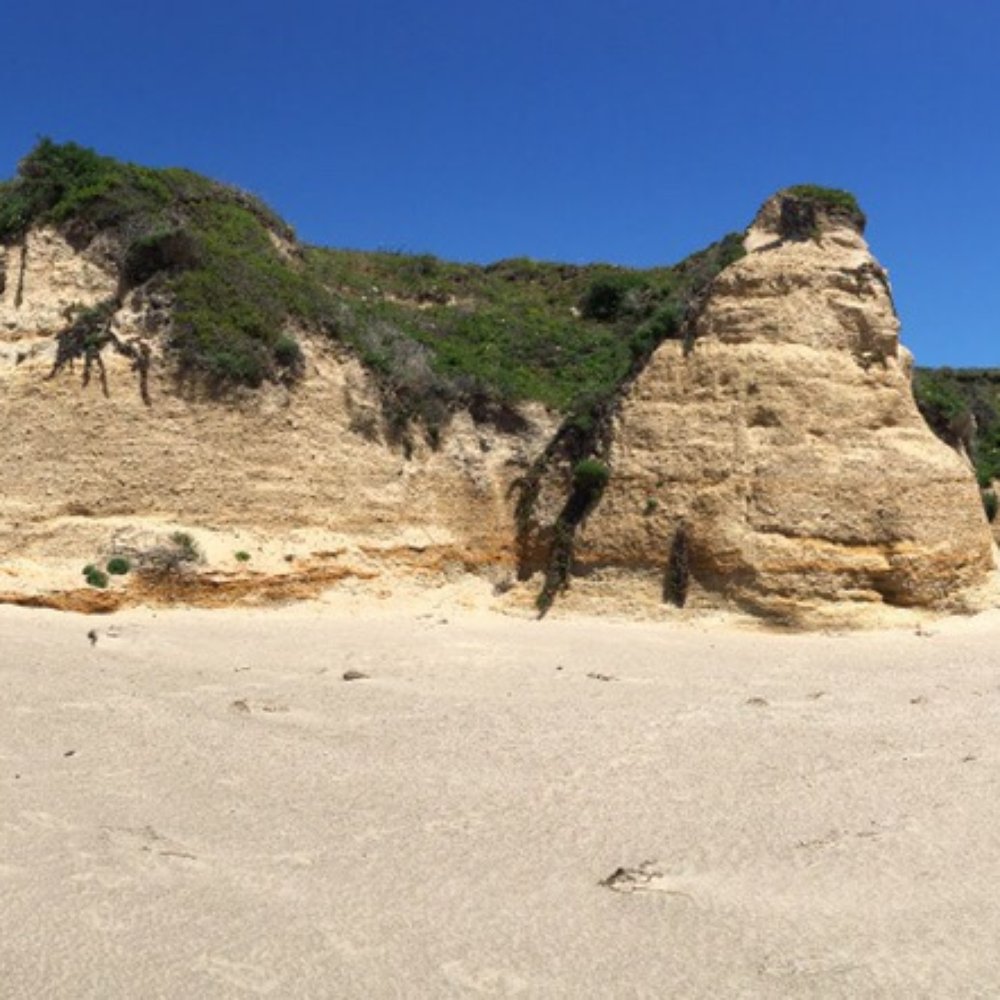 Limantour Beach - Beaches Near Me - Point Reyes Station, California Limantour Beach - Beaches Near Me - Point Reyes Station, California