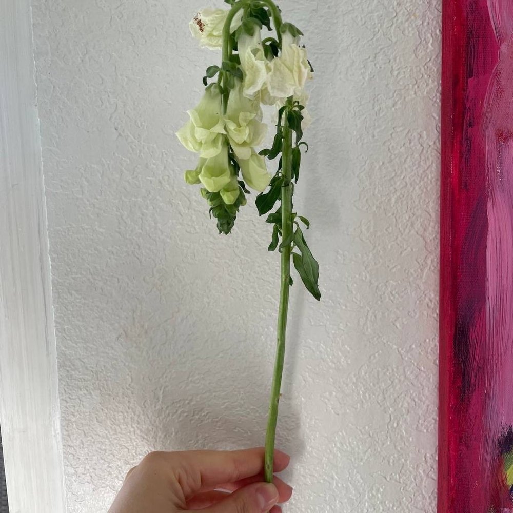 Seattle Flowers - Wilted flowers - Florists Near Me - Seattle, Washington