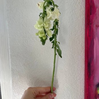 Seattle Flowers - Wilted flowers - Florists Near Me - Seattle, Washington