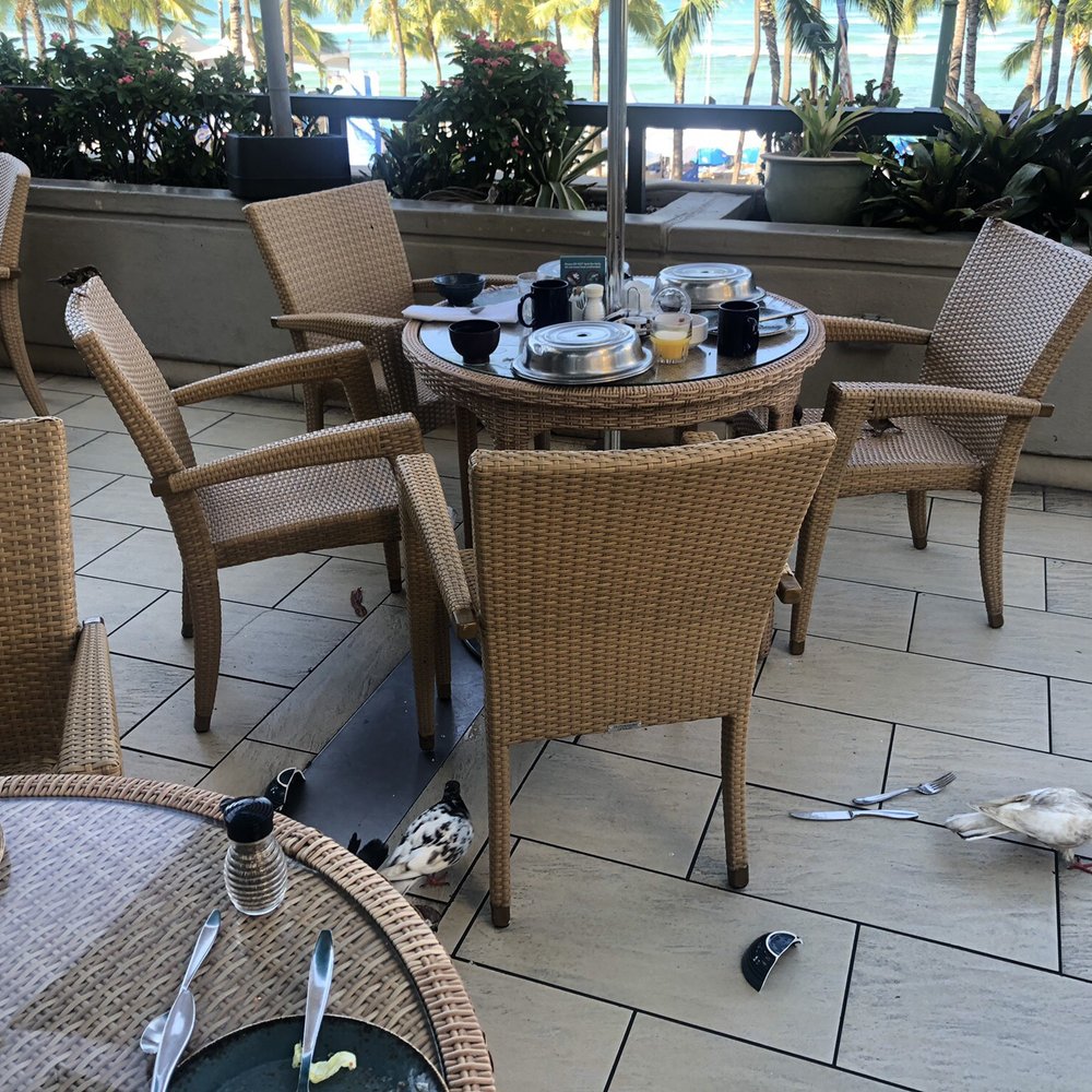 SHOR - Broke bowls on the ground. sticky rice on the ground. - Breakfast & Brunch Near Me - Honolulu, Hawaii SHOR - Broke bowls on the ground. sticky rice on the ground. - Breakfast & Brunch Near Me - Honolulu, Hawaii