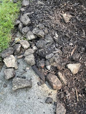 KURTZ BROS. - LANDSCAPE SUPPLY CENTER - Updated July 2026 - 1180 Miller ...