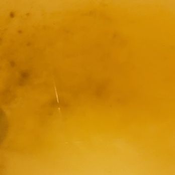 Arches Vacation Rentals - Water and FECES  at Kokopelly unit # 10 . Arches vacation rentals .Stay AWAY from this so called business  ! - Vacation Rentals Near Me - Moab, Utah