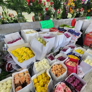 My Flower Stand - Florists Near Me - Hollywood, Florida