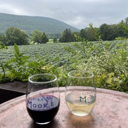 two glasses of wine on a table