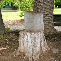 Richards Park
