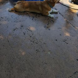 Patterson Dog Park