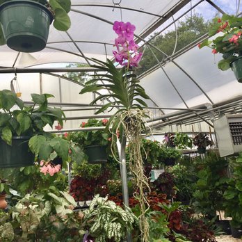 Buchanan's Native Plants - Nurseries & Gardening Near Me - Houston, Texas