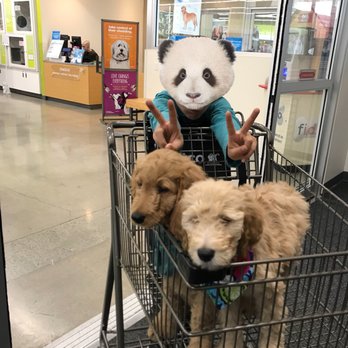 Petco - Pet Stores Near Me - La Habra, California Petco - Pet Stores Near Me - La Habra, California