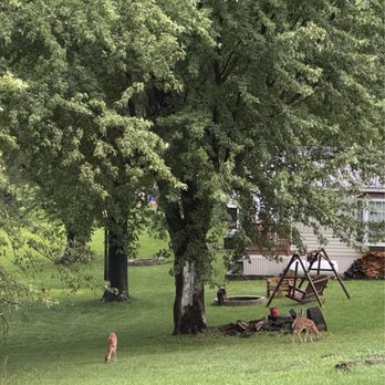 Woodhaven Lakes - Happy Labor Day Weekend! - Playgrounds Near Me - Sublette, Illinois Woodhaven Lakes - Happy Labor Day Weekend! - Playgrounds Near Me - Sublette, Illinois