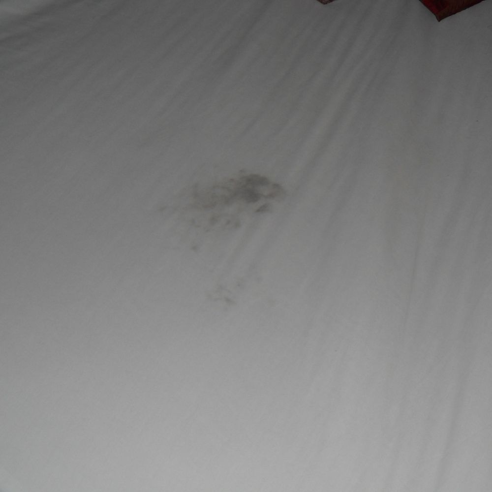 Econo Lodge Scranton Near Montage Mountain - What kind of stain is this on my sheet? - Hotels Near Me - Scranton, Pennsylvania Econo Lodge Scranton Near Montage Mountain - What kind of stain is this on my sheet? - Hotels Near Me - Scranton, Pennsylvania