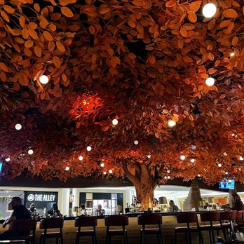 Sushisamba - bar area - Asian Fusion Near Me - Las Vegas, Nevada Sushisamba - bar area - Asian Fusion Near Me - Las Vegas, Nevada