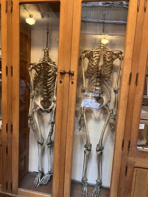 Indiana Medical History Museum by null