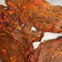 Photo of Sena's Beef Jerky