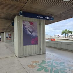 Hawaii Airport Transport