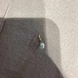 user provided Red Pineapple photo