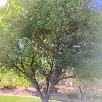 The Pueblo Park - Parks Near Me - Las Vegas, Nevada The Pueblo Park - Parks Near Me - Las Vegas, Nevada