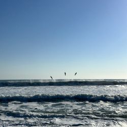 Pelican Beach Park
