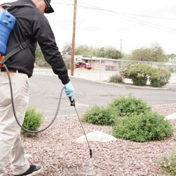 WeedCo - WeedCo on the job in Tucson, AZ--treating weeds in desert rock landscaping. Reliable, recurring weed control. Request service: 520-549-1390!