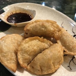 Fried Dumpling