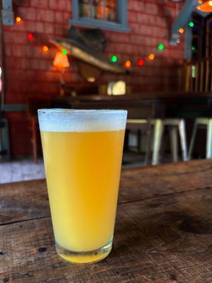 Station Bar & Curio by null