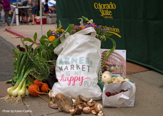 Larimer County Farmers' Market by null