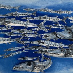 Blue Magic Scuba