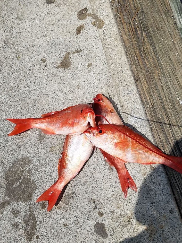 Majesty & Mayport Princess Deep Sea Fishing, Jacksonville Roadtrippers