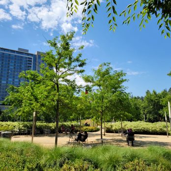 Elizabeth Caruthers Park - People enjoying sunshine - Parks Near Me - Portland, Oregon Elizabeth Caruthers Park - People enjoying sunshine - Parks Near Me - Portland, Oregon