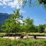 Photo of Elizabeth Caruthers Park