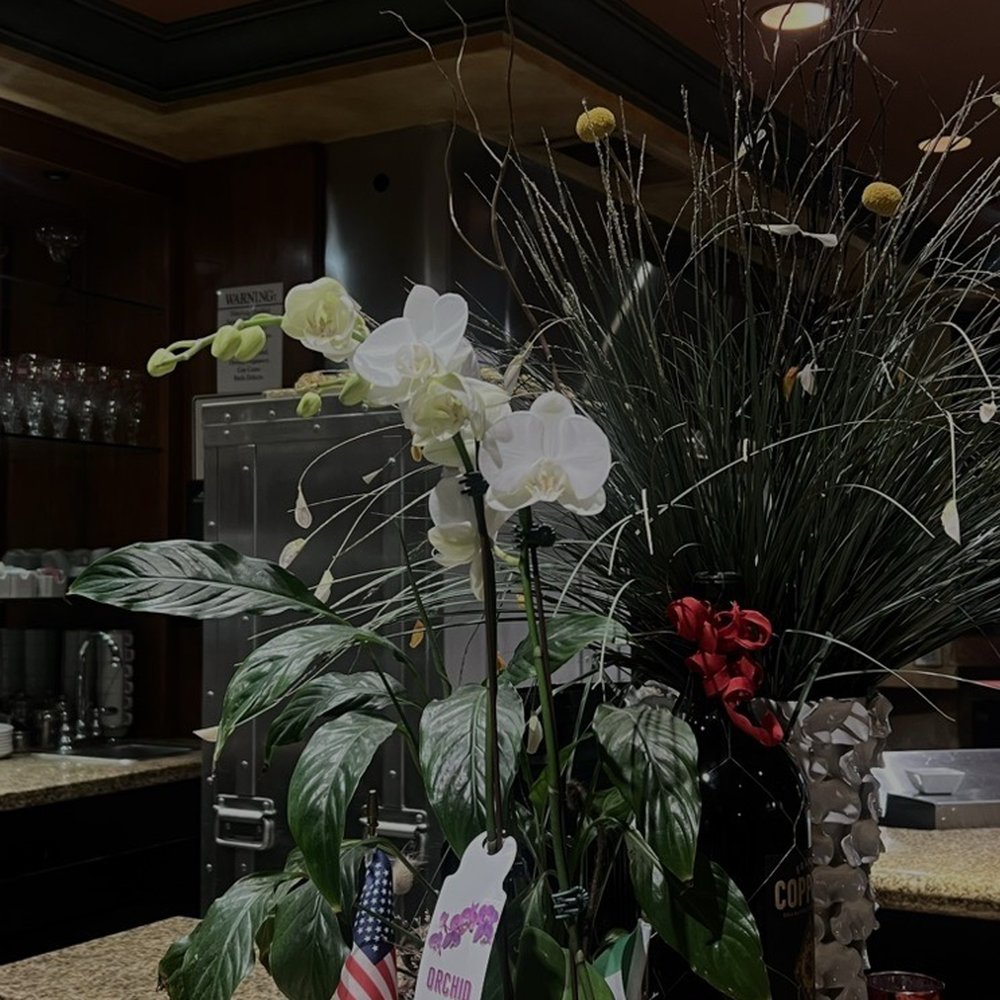 Parma - Inside - Italian Near Me - Fresno, California Parma - Inside - Italian Near Me - Fresno, California