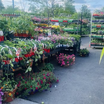 George's Market and Nursery - Spring 2026 - Nurseries & Gardening Near Me - Latham, New York George's Market and Nursery - Spring 2026 - Nurseries & Gardening Near Me - Latham, New York