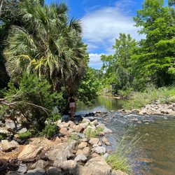 Mobile Japanese Garden - Creek