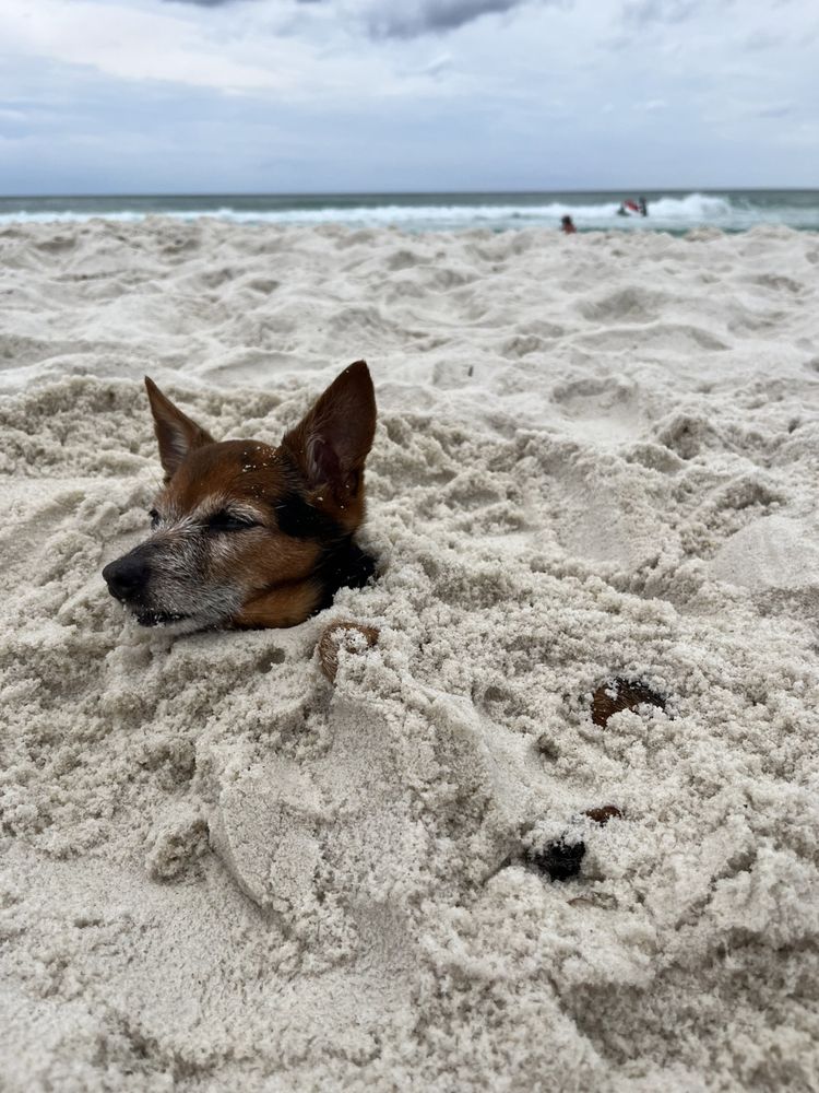 Social spots from Alchemy of the Heart and Soul