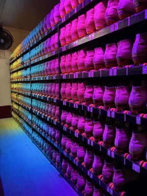 Moonlight Rollerway by null