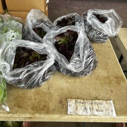 Strawberry Farm - Lettuce