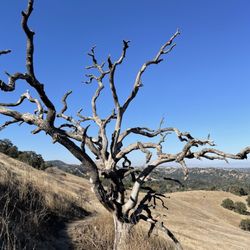 Acalanes Ridge Recreation Area