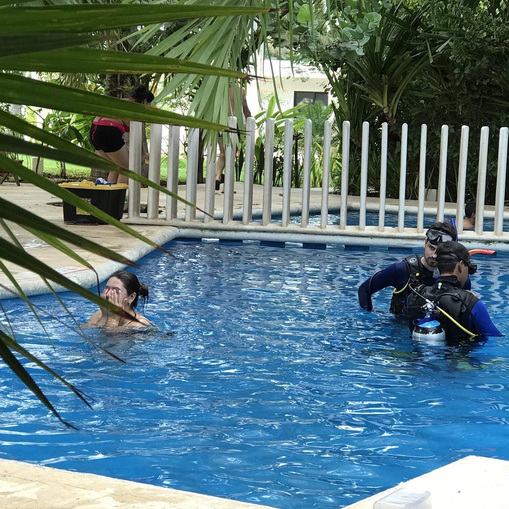 Hotel Sotavento - Scuba Diving at the hotel. - Hotels Near Me - Cancún, ROO