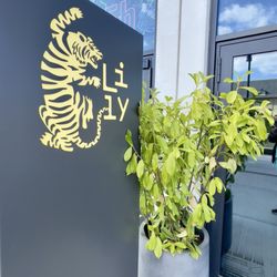 Tiger Lilly Papirøen
