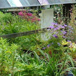 Squire's Garden Centres