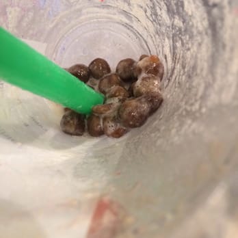 Bubbletea Station - Boba = terrible! It was all hard, frozen, and stuck together, so it was difficult to drink. It also tasted like coffee. - Bubble Tea Near Me - Reno, Nevada